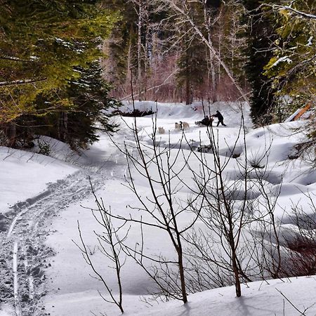 Gite Aux Jardins De L'Anse Perce Kültér fotó