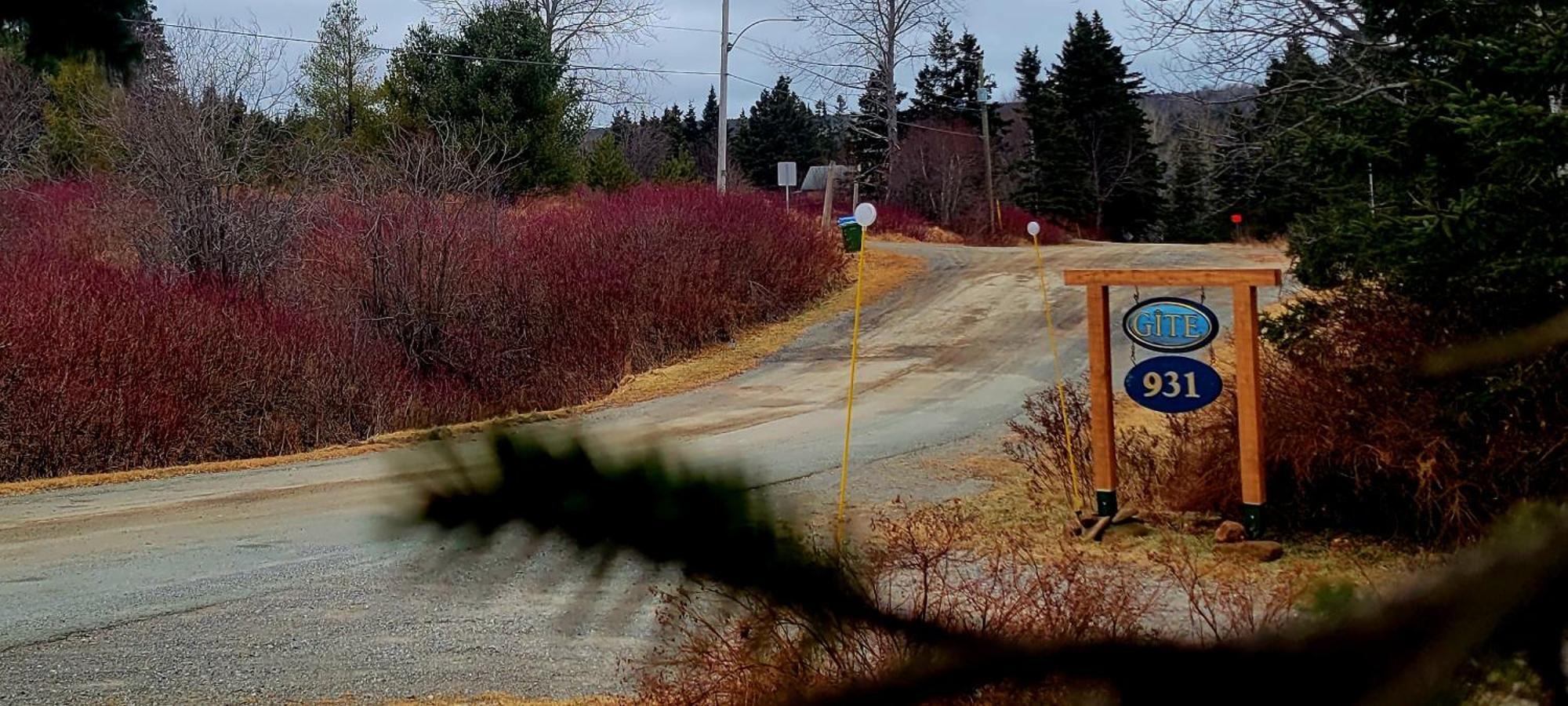 Gite Aux Jardins De L'Anse Perce Kültér fotó