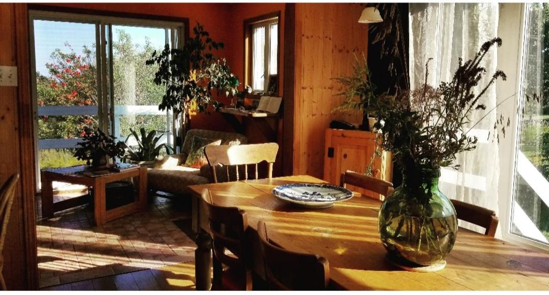 Gite Aux Jardins De L'Anse Perce Kültér fotó