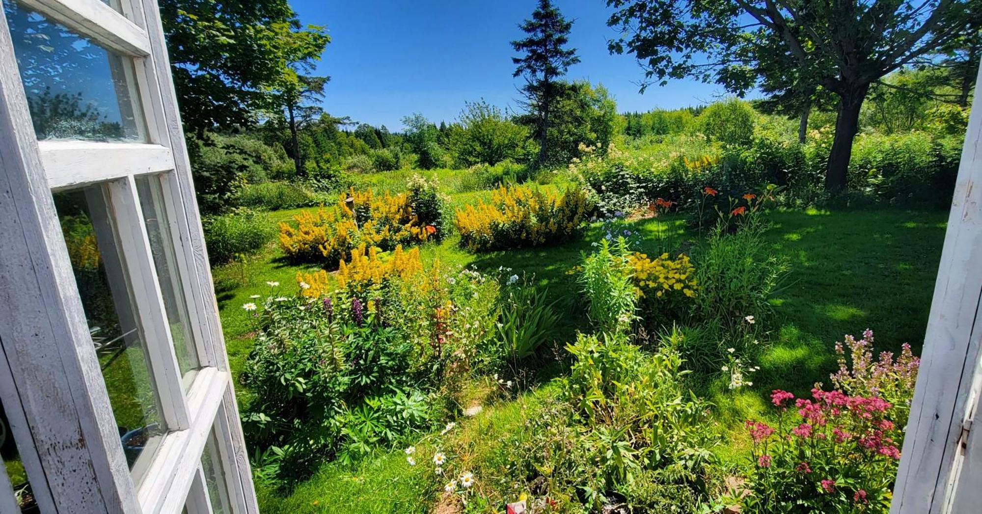 Gite Aux Jardins De L'Anse Perce Kültér fotó