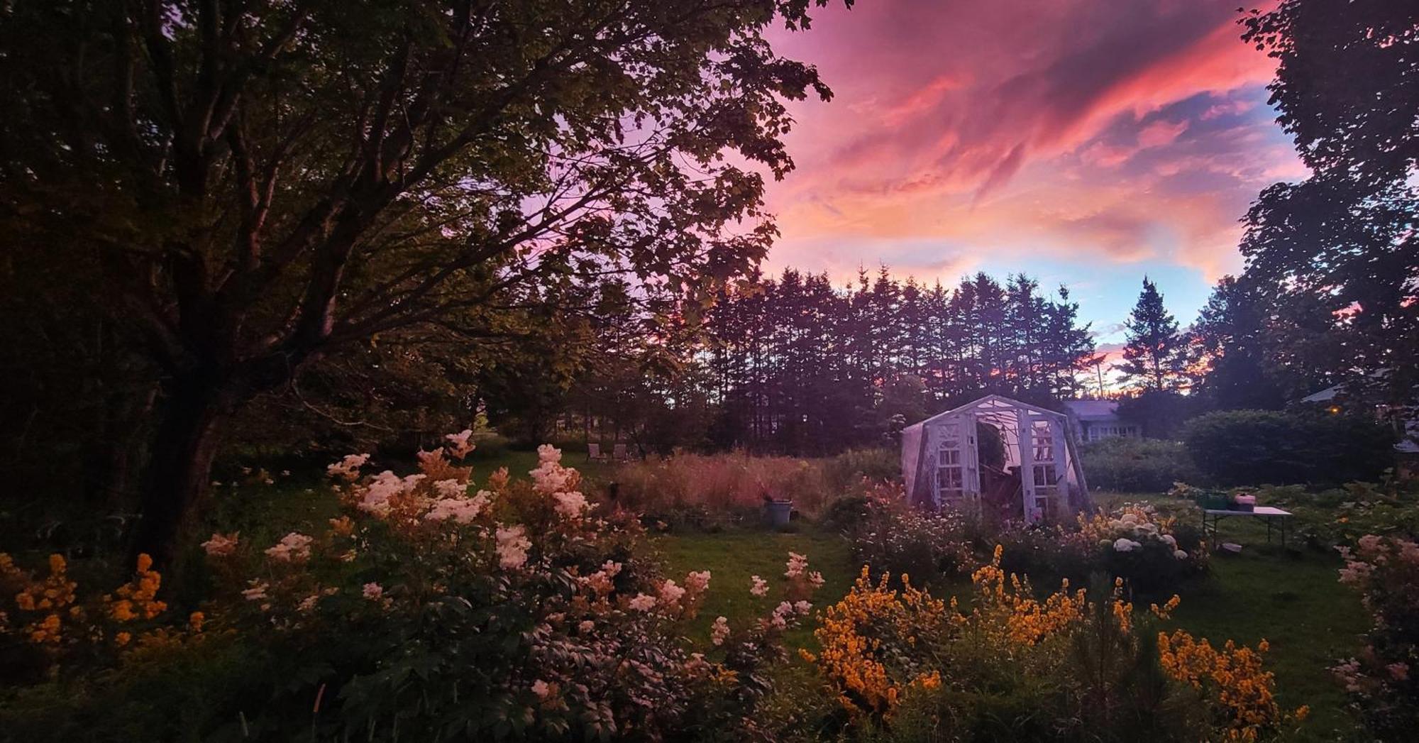 Gite Aux Jardins De L'Anse Perce Kültér fotó