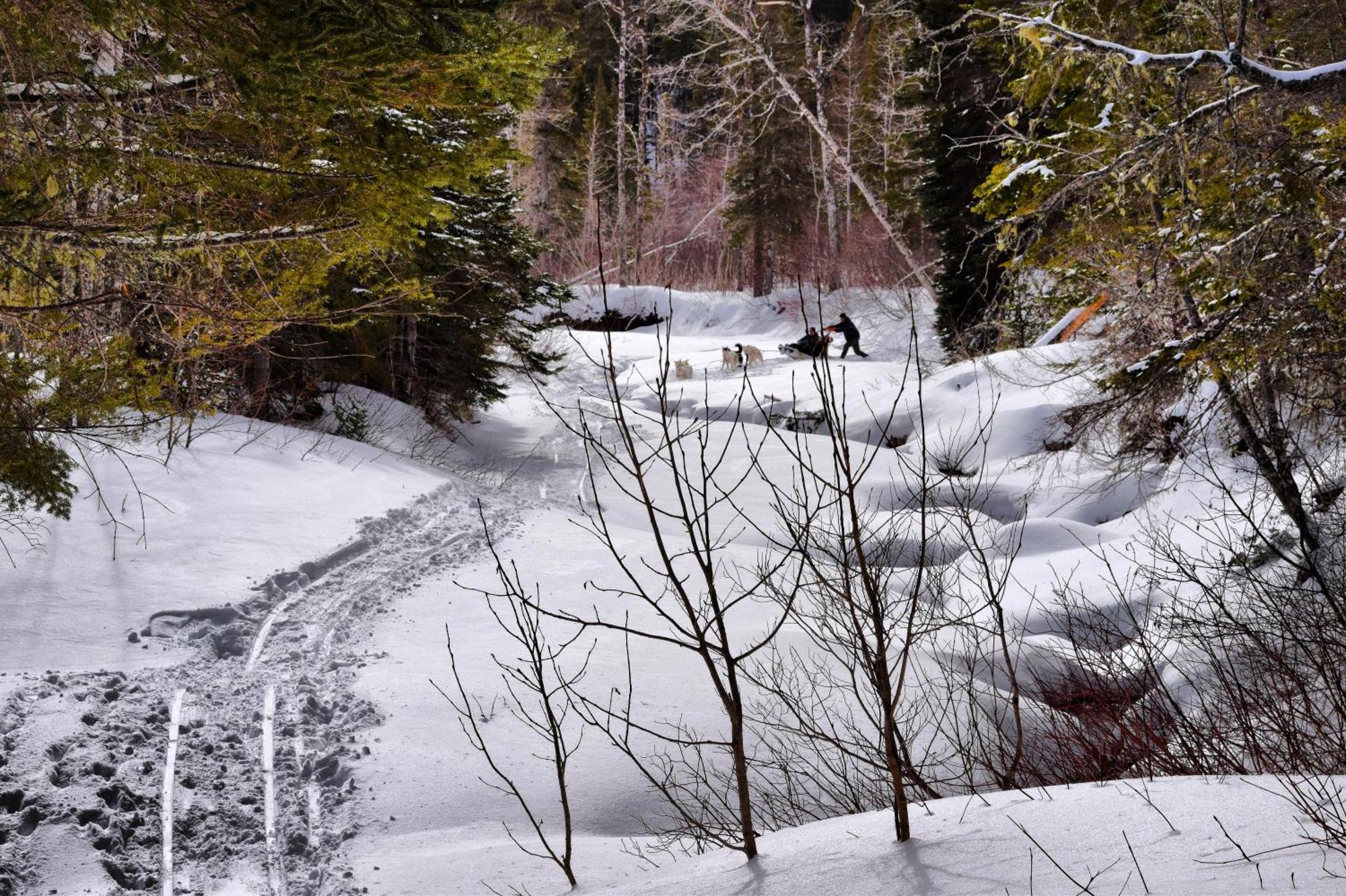 Gite Aux Jardins De L'Anse Perce Kültér fotó