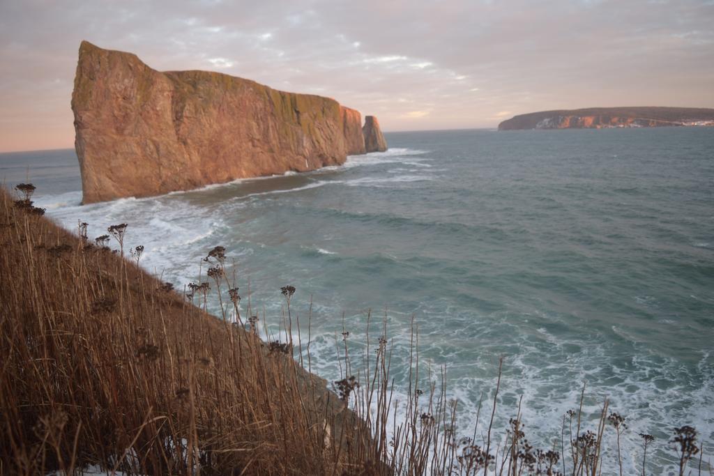 Gite Aux Jardins De L'Anse Perce Kültér fotó