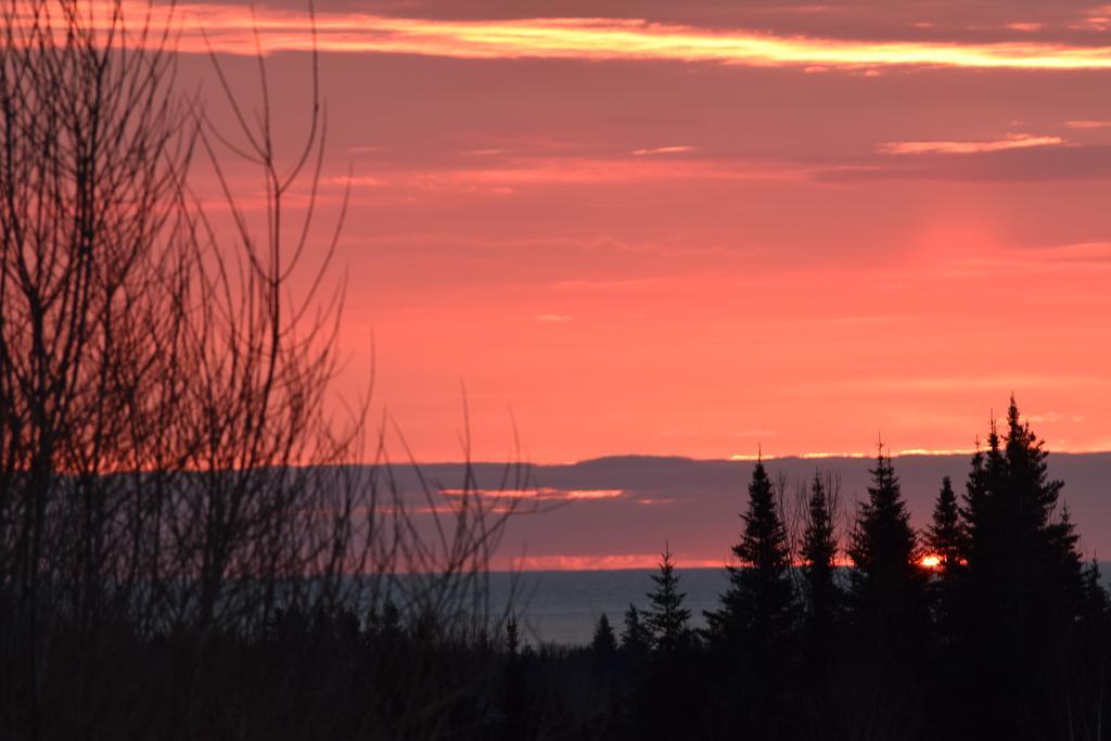 Gite Aux Jardins De L'Anse Perce Kültér fotó