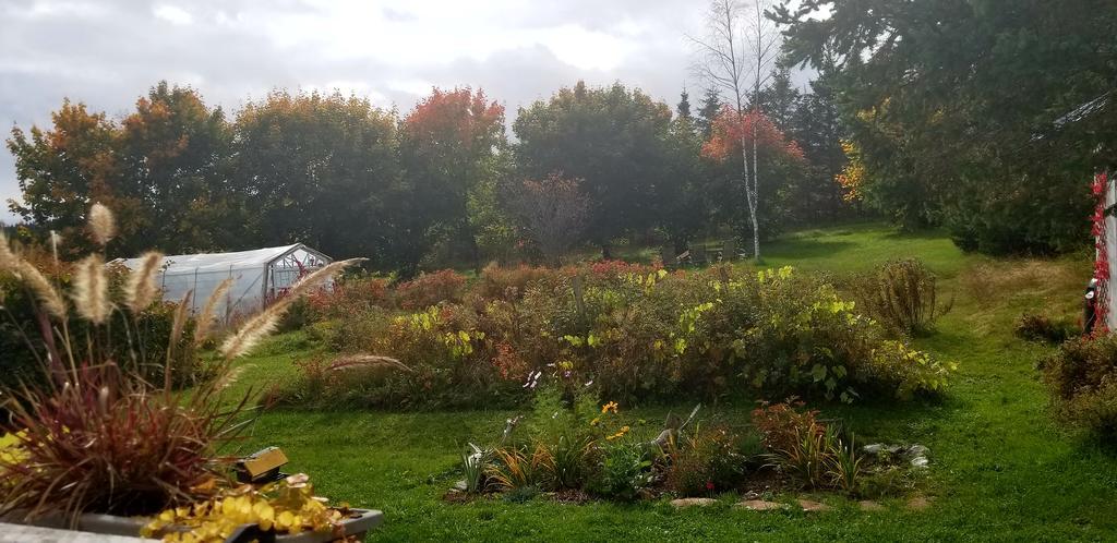 Gite Aux Jardins De L'Anse Perce Kültér fotó