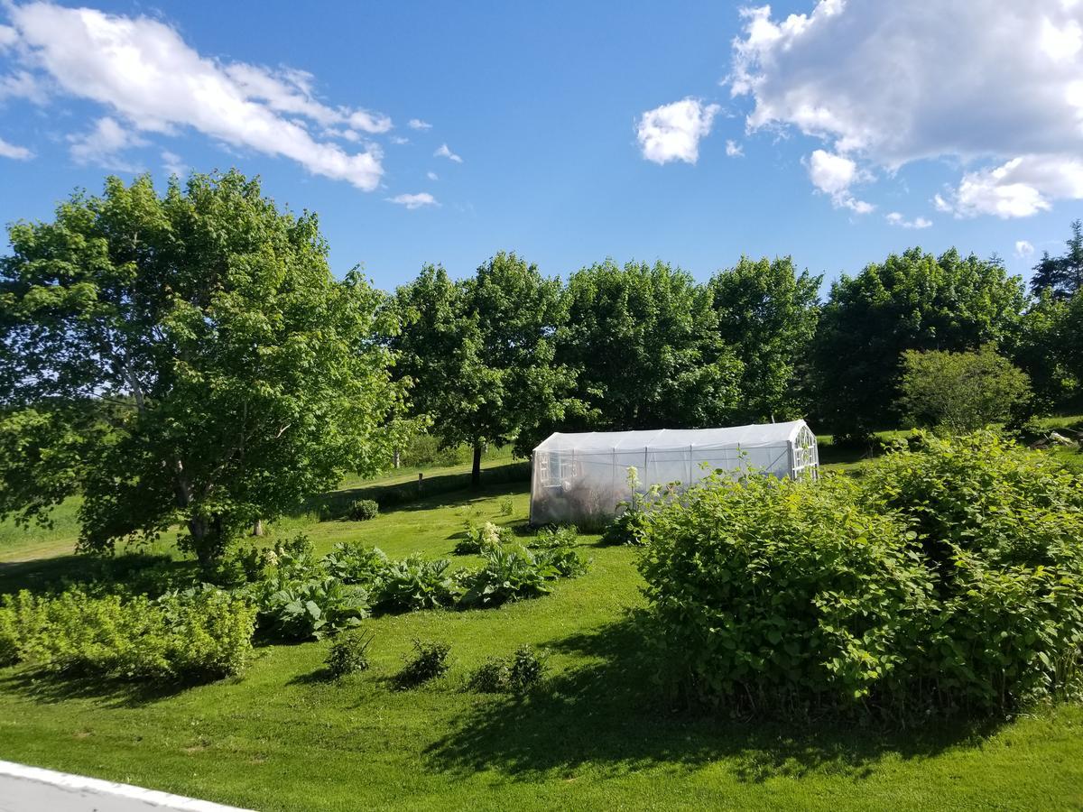 Gite Aux Jardins De L'Anse Perce Kültér fotó